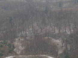 foto virga di neve
